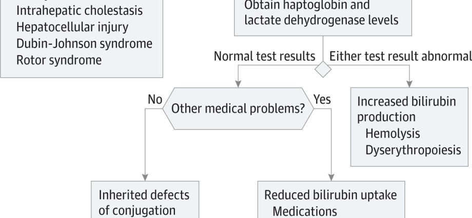 Gilbert&#8217;s syndrome &#8211; elevation of serum bilirubin