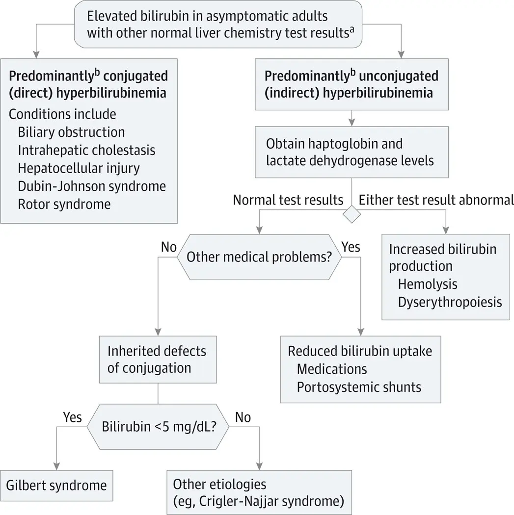 Gilbert&#8217;s syndrome &#8211; elevation of serum bilirubin