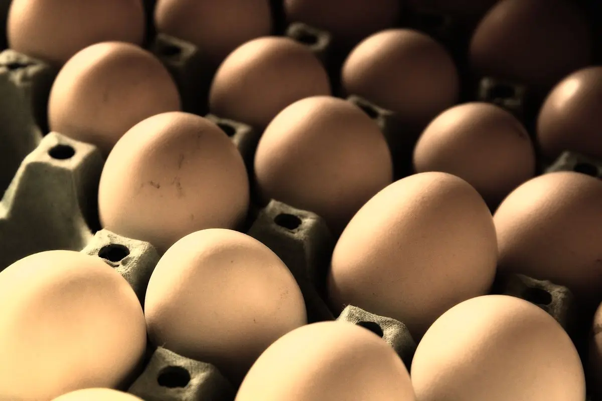 GIS warns: don&#8217;t buy these popular products. Eggs with salmonella on the list