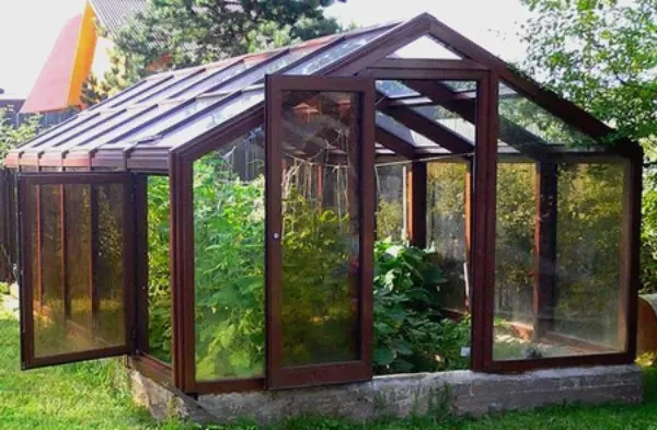 Glass greenhouses: features and construction of structures