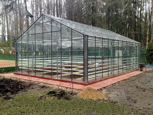 Glass greenhouses: features and construction of structures