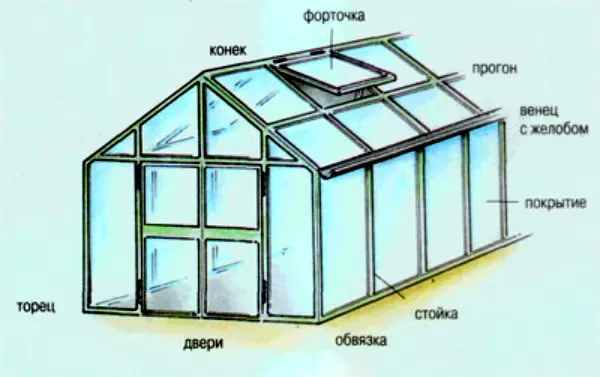 Glass greenhouses: features and construction of structures