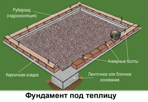 Glass greenhouses: features and construction of structures