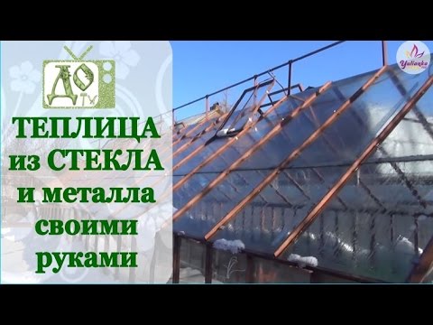 Glass greenhouses: features and construction of structures