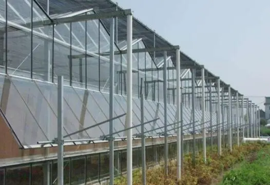 Glass greenhouses: features and construction of structures