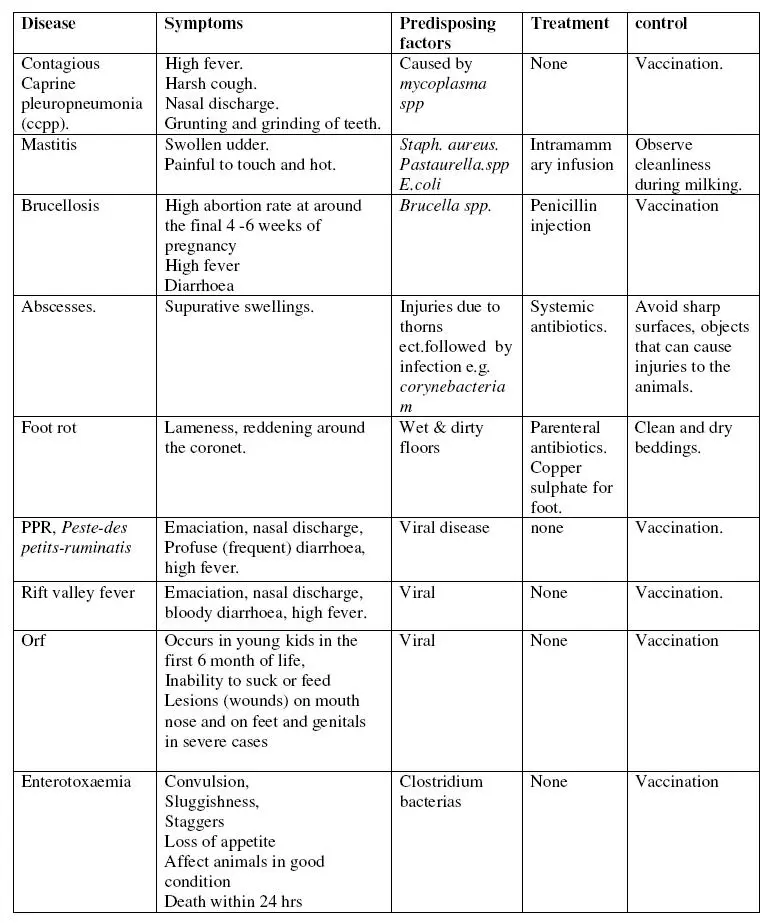 Goat diseases and their symptoms, treatment