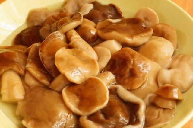 Goat mushrooms (goats, dry butterflies): photo and description of how to cook