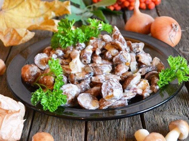 Goat mushrooms (goats, dry butterflies): photo and description of how to cook