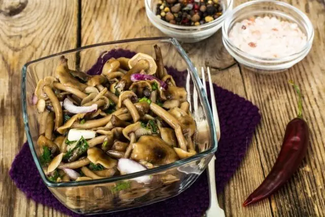 Goat mushrooms (goats, dry butterflies): photo and description of how to cook