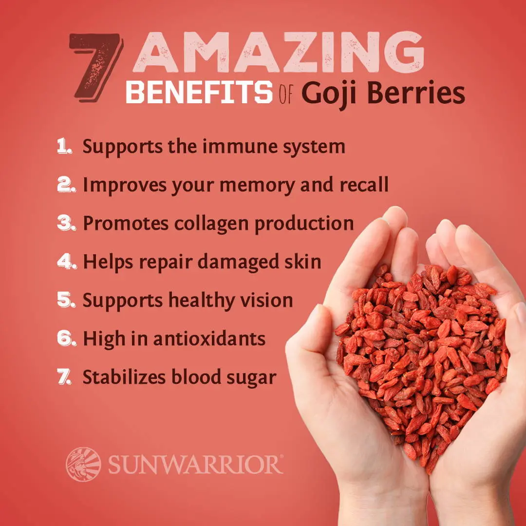 Goji berries: benefits and harms for men and women, how to brew, how to take for health