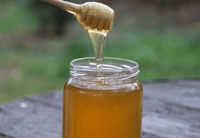 Goldenrod honey: useful properties and contraindications