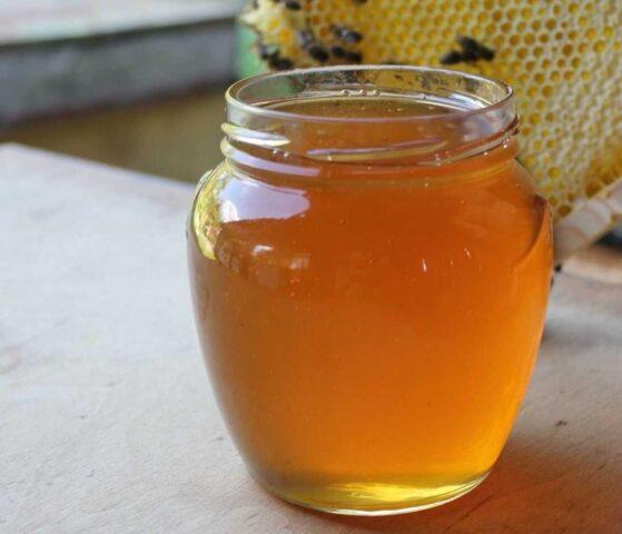 Goldenrod honey: useful properties and contraindications