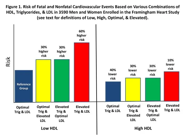 Good HDL cholesterol and a greater risk of a heart attack. New study