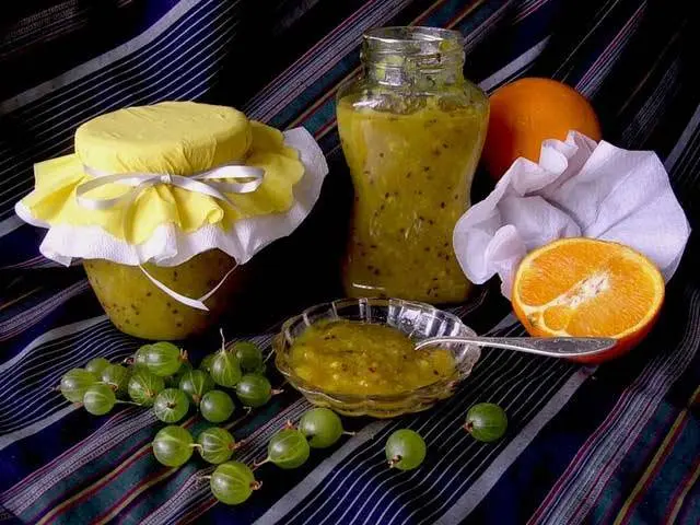 Gooseberry Jam with Orange: 16 Simple Recipes