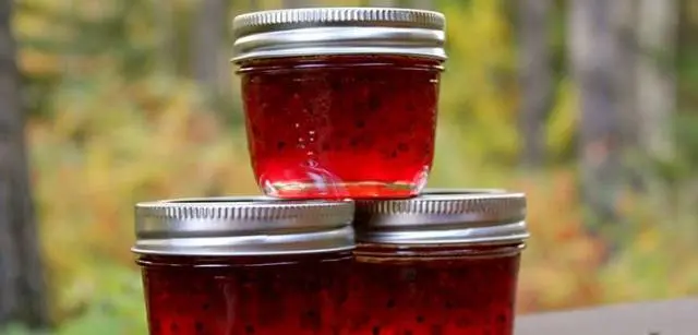 Gooseberry Jam with Orange: 16 Simple Recipes