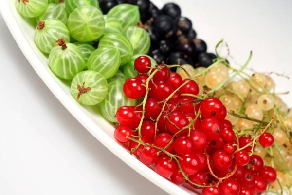 Gooseberry jelly for the winter