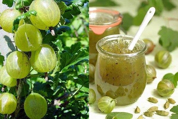 Gooseberry jelly for the winter