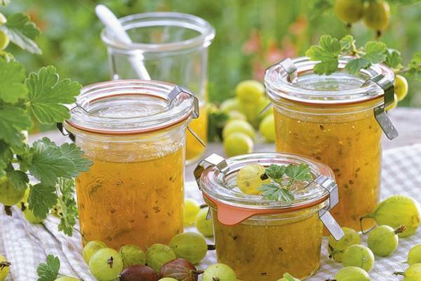 Gooseberry jelly for the winter