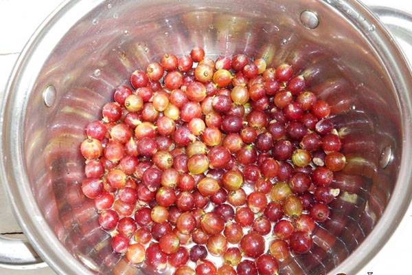 Gooseberry jelly for the winter