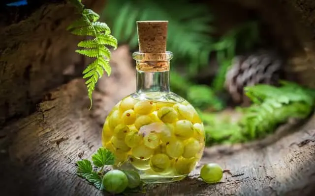 Gooseberry tincture on vodka, on alcohol, on moonshine: recipes for cooking at home