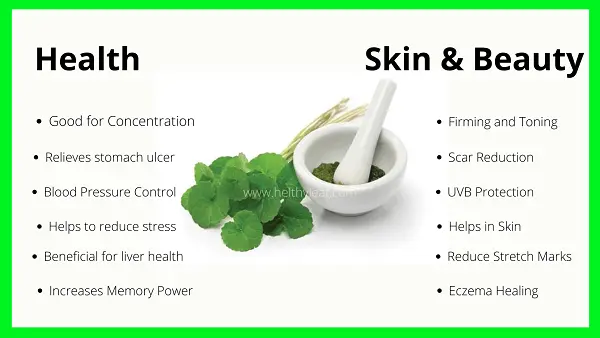 Gotu kola &#8211; properties, dosage, opinions. Side effects of gotu kola