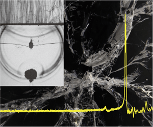 Graaf&#8217;s bubble &#8211; structure, what is its role? What to do when it does not crack?