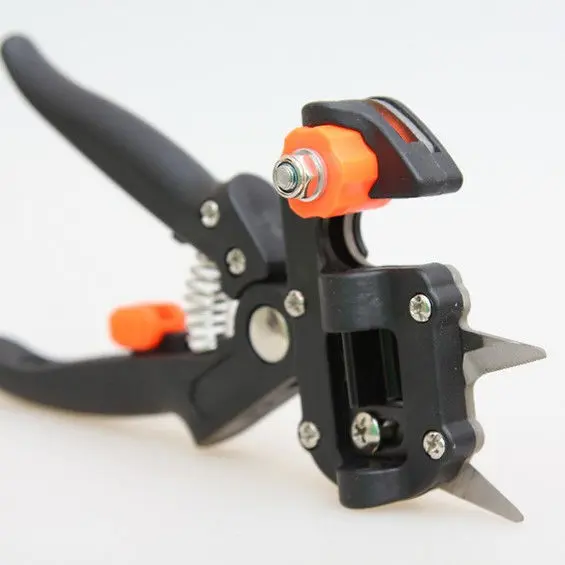 Grafting pruner: how to choose or make yourself