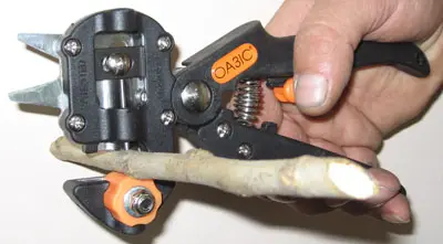 Grafting pruner: how to choose or make yourself