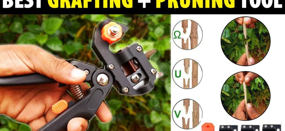 Grafting pruner: how to choose or make yourself