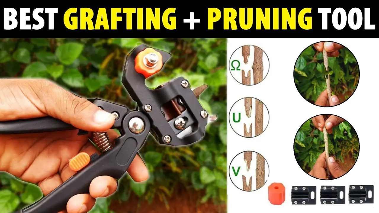 Grafting pruner: how to choose or make yourself