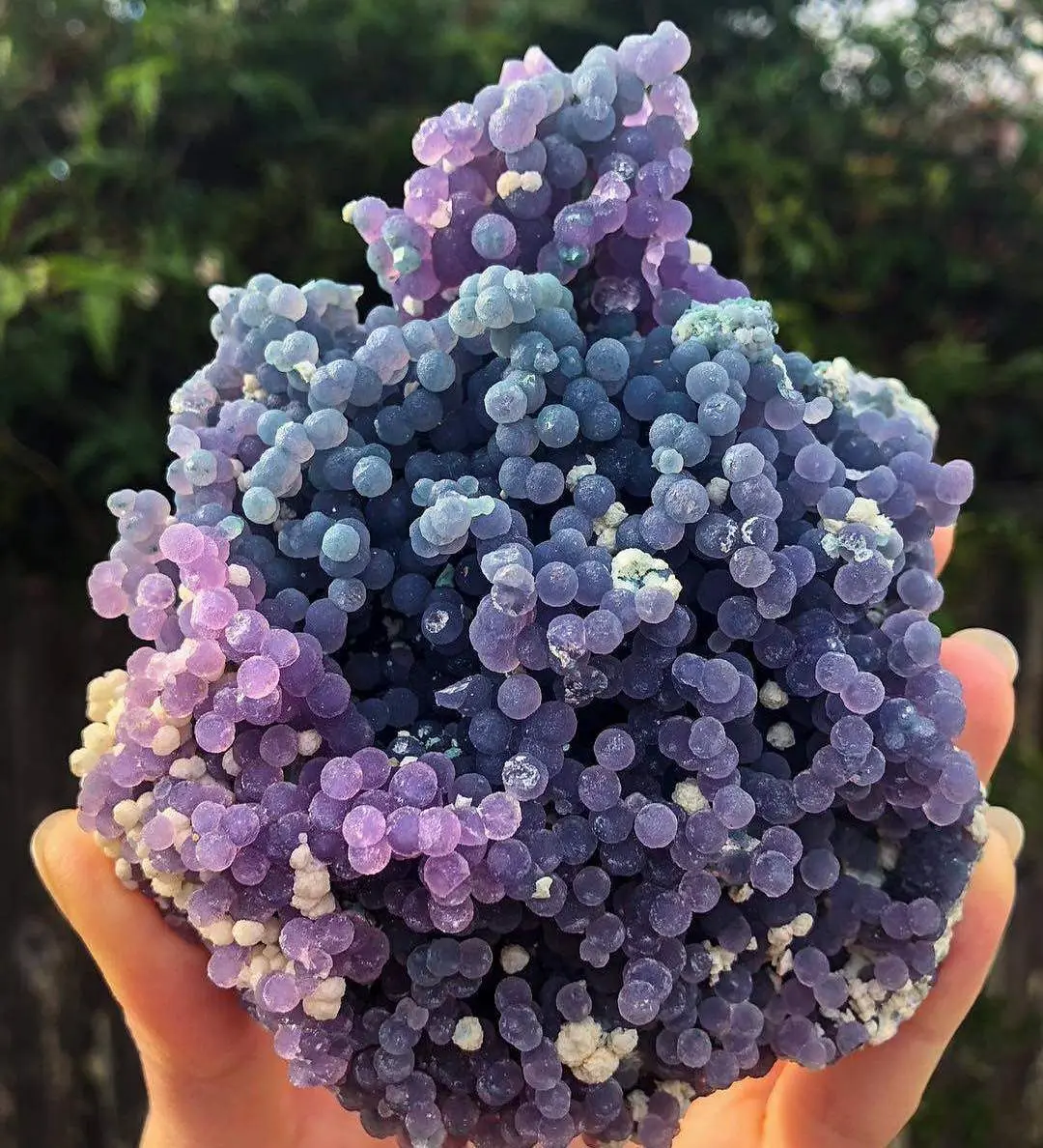 Grape Crystal