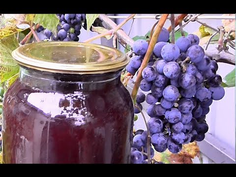 Grape juice for the winter at home through a juicer, juicer or manual extraction