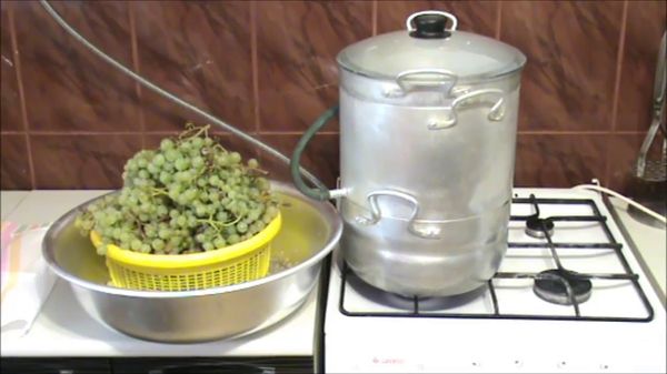 Grape juice for the winter at home through a juicer, juicer or manual extraction