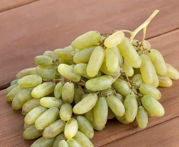 Grape variety Ladies fingers: photo, description, reviews, characteristics