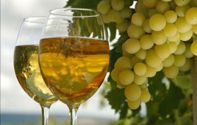 Grape variety Muscat white extra early: photo and description, reviews