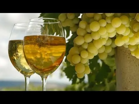 Grape variety Muscat white extra early: photo and description, reviews