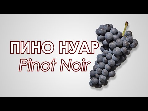 Grape variety Pinot Noir (Pinot Noir): characteristics and description, photos, reviews