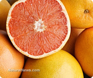 Grapefruit flavonoid prevents cysts in the kidneys