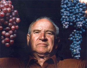 Grapes Harold