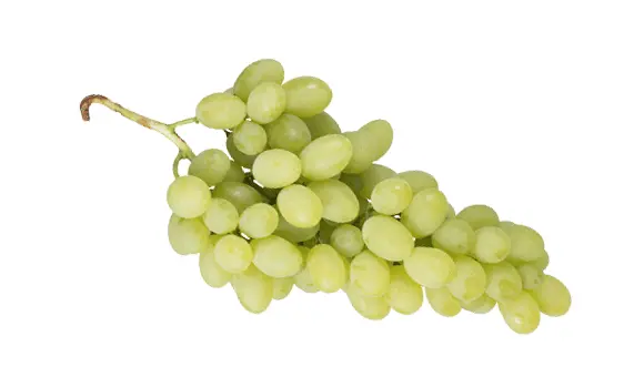 Grapes Victoria