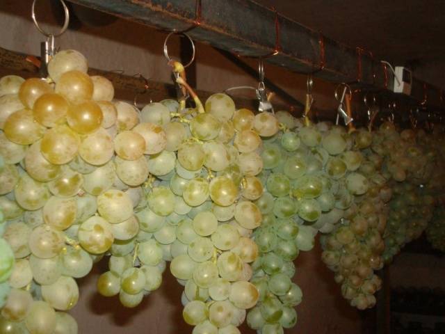 Grapes White Miracle