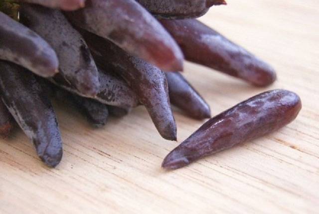 Grapes Witch Fingers