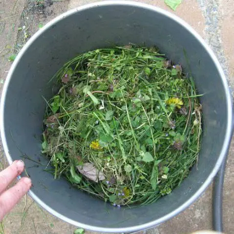 Grass and weed fertilizer