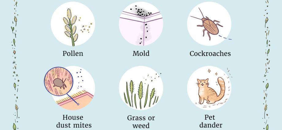 Grass dusting &#8211; allergens and the area of ​​residence, allergy symptoms