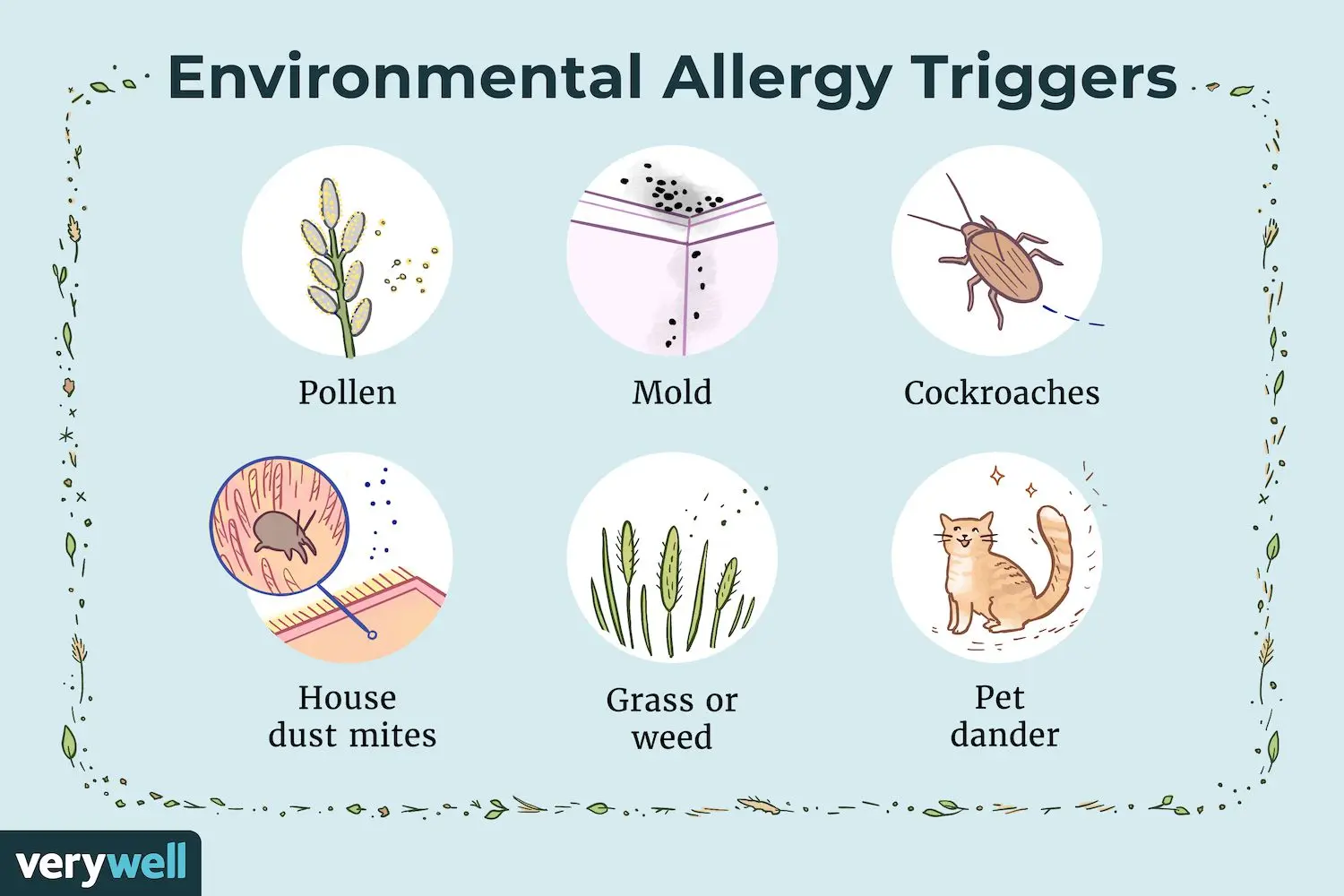 Grass dusting &#8211; allergens and the area of ​​residence, allergy symptoms