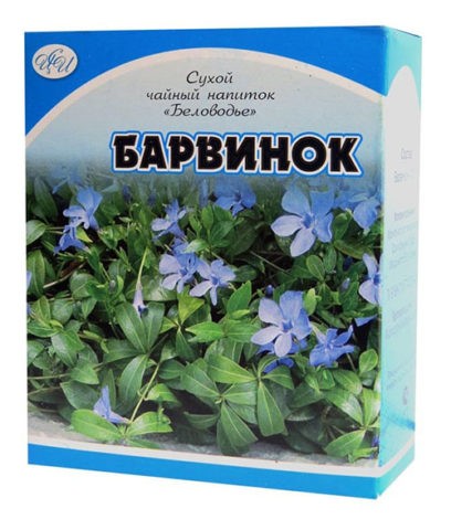 Grass Periwinkle: medicinal properties and contraindications, photo, use in traditional medicine