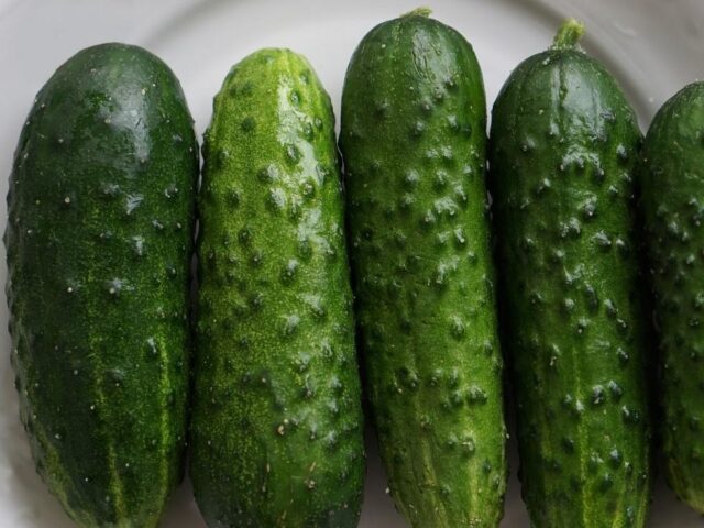 Gray rot of cucumbers in a greenhouse: causes, photos, treatment, control measures