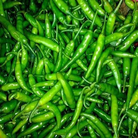 Green chili peppers: varieties, benefits, cultivation