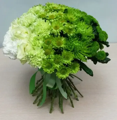 Green chrysanthemums: description and varieties