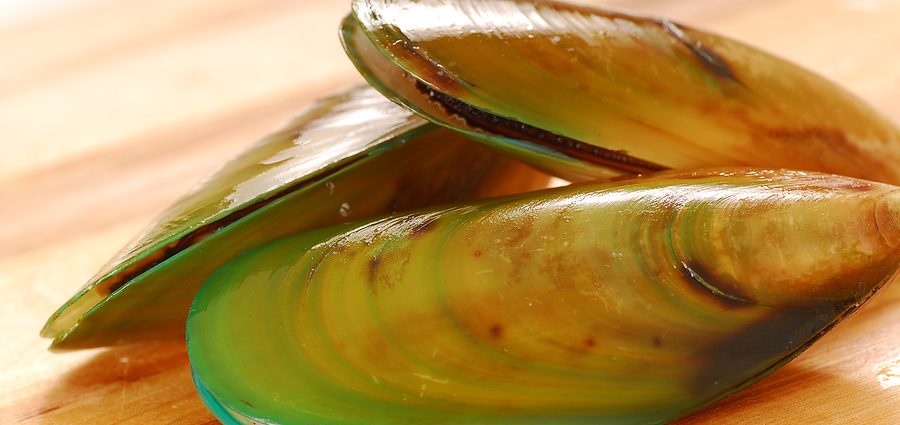 Green lip mussels &#8211; properties, application, contraindications